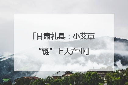 甘肃礼县：小艾草“链”上大产业