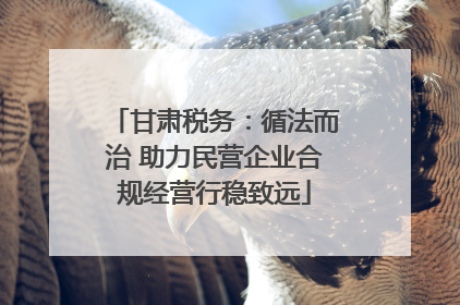 甘肃税务：循法而治 助力民营企业合规经营行稳致远