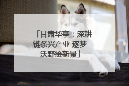 甘肃华亭：深耕链条兴产业 逐梦沃野绘新景