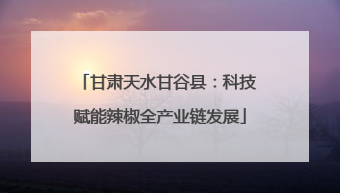 甘肃天水甘谷县：科技赋能辣椒全产业链发展