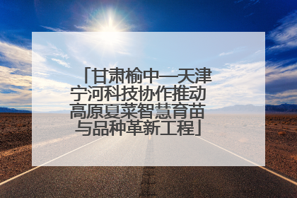 甘肃榆中—天津宁河科技协作推动高原夏菜智慧育苗与品种革新工程