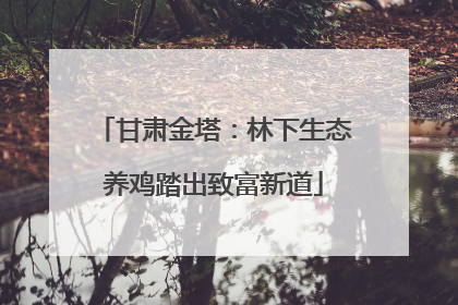 甘肃金塔：林下生态养鸡踏出致富新道