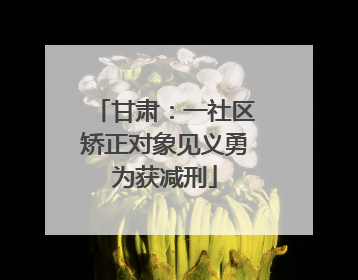 甘肃：一社区矫正对象见义勇为获减刑