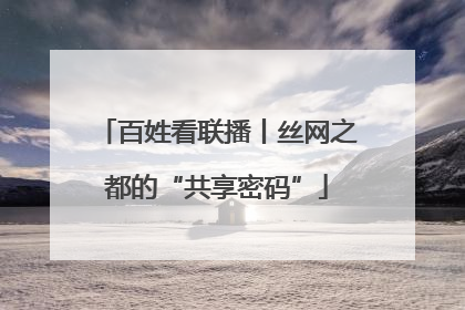 百姓看联播丨丝网之都的“共享密码”