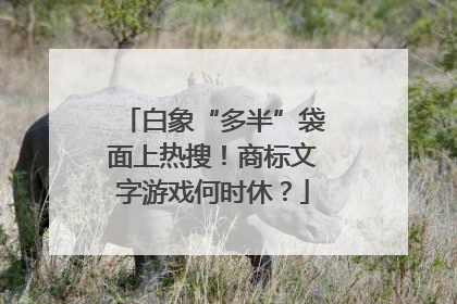 白象“多半”袋面上热搜！商标文字游戏何时休？