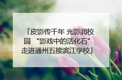 皮影传千年 光影润校园 “影戏中的活化石”走进通州五接滨江学校