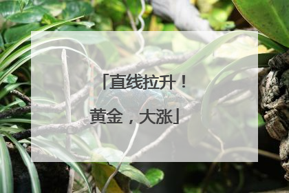 直线拉升！黄金，大涨