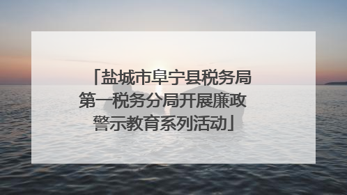 盐城市阜宁县税务局第一税务分局开展廉政警示教育系列活动
