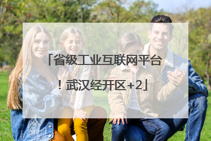 省级工业互联网平台！武汉经开区+2