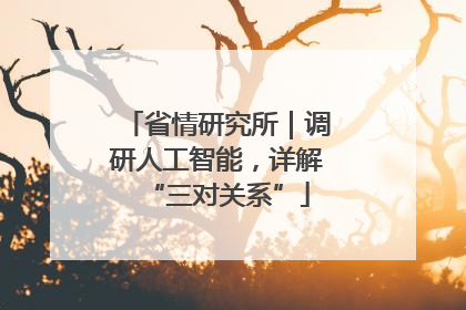 省情研究所｜调研人工智能，详解“三对关系”