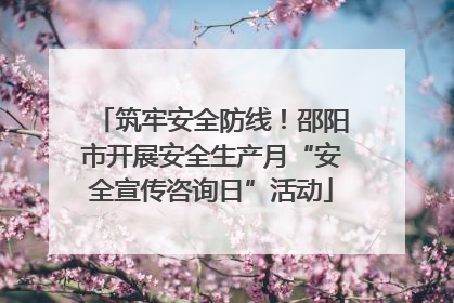 筑牢安全防线！邵阳市开展安全生产月“安全宣传咨询日”活动