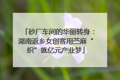 砂厂车间的华丽转身：湖南返乡女创客用苎麻“织”就亿元产业梦