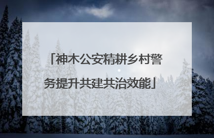 神木公安精耕乡村警务提升共建共治效能