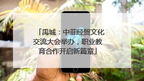禹城：中菲经贸文化交流大会举办，职业教育合作开启新篇章