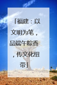 福建：以文明为笔，品端午粽香，传文化纽带