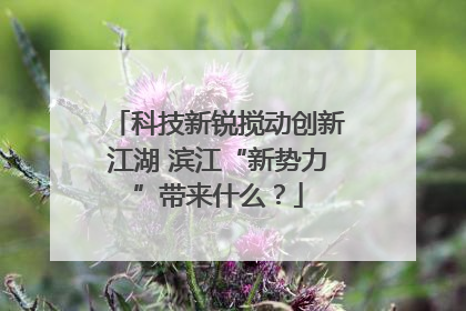 科技新锐搅动创新江湖 滨江“新势力”带来什么？