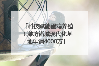 科技赋能蛋鸡养殖！潍坊诸城现代化基地年销4000万