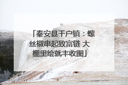秦安县千户镇：螺丝椒串起致富链 大棚里绘就丰收图