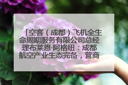 空客（成都）飞机全生命周期服务有限公司总经理布莱恩·阿格纽：成都航空产业生态完备，营商环境优势显著
