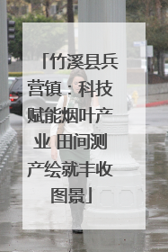 竹溪县兵营镇：科技赋能烟叶产业 田间测产绘就丰收图景