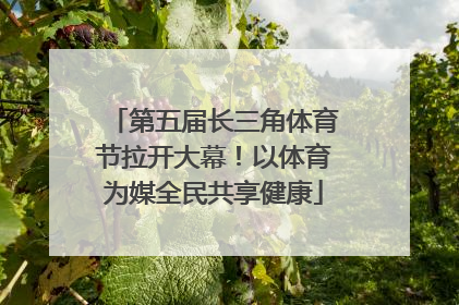 第五届长三角体育节拉开大幕！以体育为媒全民共享健康