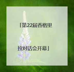 第22届香格里拉对话会开幕