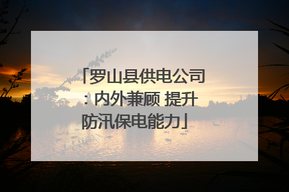 罗山县供电公司：内外兼顾 提升防汛保电能力