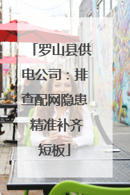 罗山县供电公司：排查配网隐患 精准补齐短板