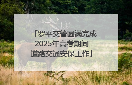 罗平交管圆满完成2025年高考期间道路交通安保工作