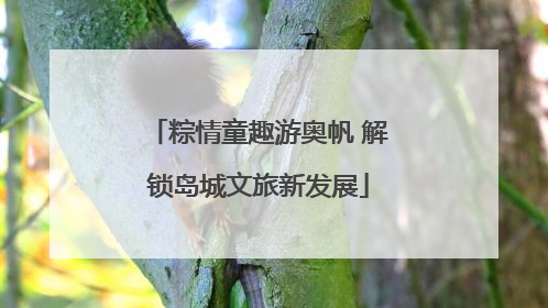 粽情童趣游奥帆 解锁岛城文旅新发展