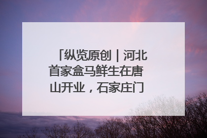 纵览原创｜河北首家盒马鲜生在唐山开业，石家庄门店预计8月开业