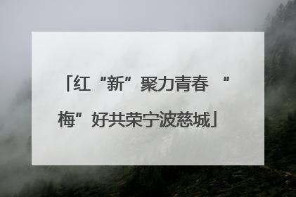 红“新”聚力青春 “梅”好共荣宁波慈城