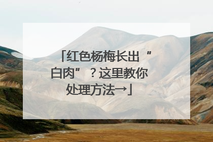 红色杨梅长出“白肉”？这里教你处理方法→