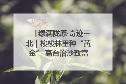 绿满陇原·奇迹三北｜梭梭林里种“黄金” 高台治沙致富很“从容”