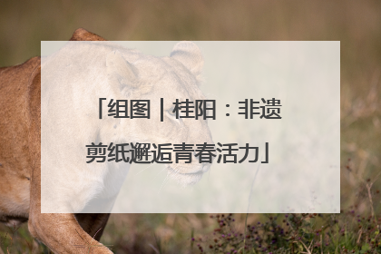 组图｜桂阳：非遗剪纸邂逅青春活力