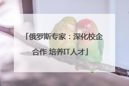 俄罗斯专家：深化校企合作 培养IT人才