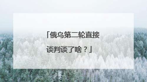 俄乌第二轮直接谈判谈了啥？