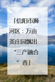 信阳市浉河区：万亩茶庄园飘出“三产融合”香