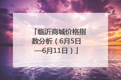 临沂商城价格指数分析（6月5日—6月11日）
