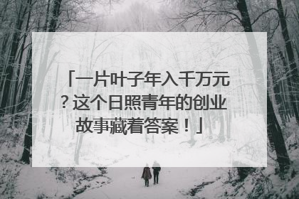 一片叶子年入千万元？这个日照青年的创业故事藏着答案！