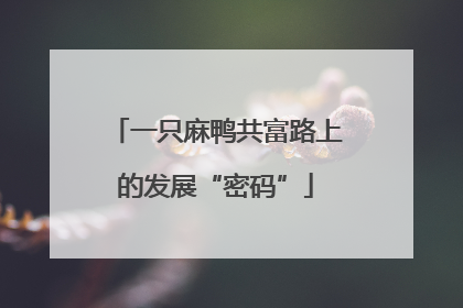 一只麻鸭共富路上的发展“密码”