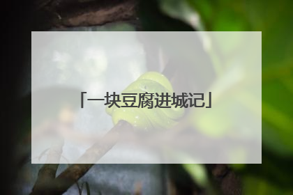 一块豆腐进城记