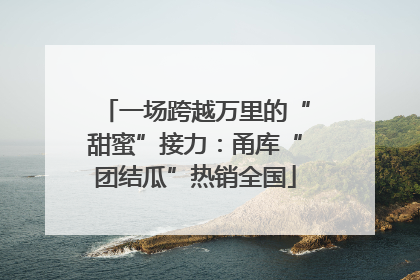 一场跨越万里的“甜蜜”接力：甬库“团结瓜”热销全国