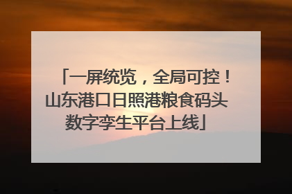一屏统览，全局可控！山东港口日照港粮食码头数字孪生平台上线