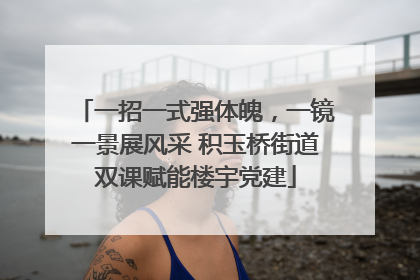 一招一式强体魄，一镜一景展风采 积玉桥街道双课赋能楼宇党建