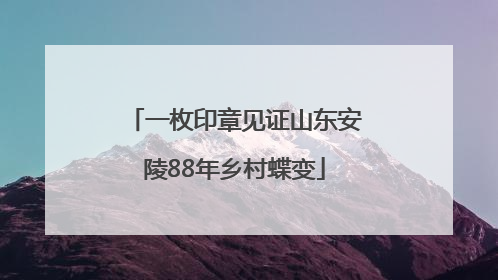 一枚印章见证山东安陵88年乡村蝶变
