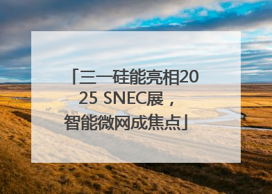 三一硅能亮相2025 SNEC展，智能微网成焦点