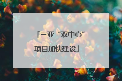 三亚“双中心”项目加快建设