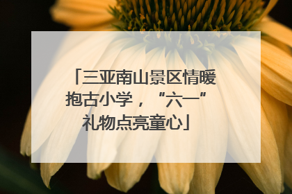 三亚南山景区情暖抱古小学，“六一”礼物点亮童心