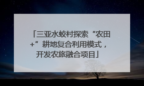 三亚水蛟村探索“农田+”耕地复合利用模式，开发农旅融合项目